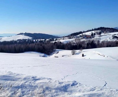 Krásny pozemok v katastri obce Detvianska Huta s výmerou 7750m2.