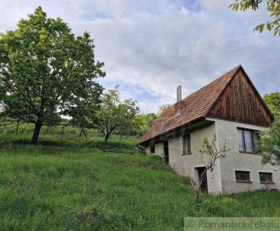 Viničný dom a vinica so vzácnou morušou v Devičanoch