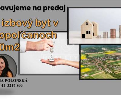 Pripravujeme do ponuky !!!
4 izbový byt v Topoľčanoch - 80m2