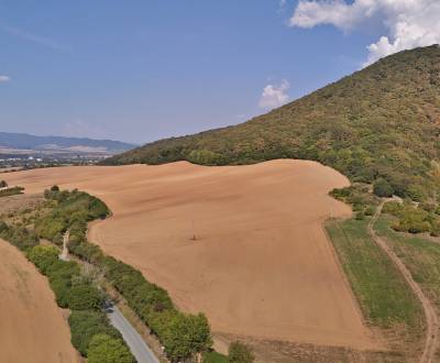 Výnimočný slnečný pozemok, 22 542m2, Veľký Šariš