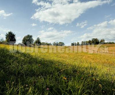 PREDAJ: Pozemok pre rodinný dom s výhľadmi, 4607 m2, Detvianska Huta -