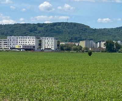 Pozemok  11 600 m2 na predaj,  Zvolen