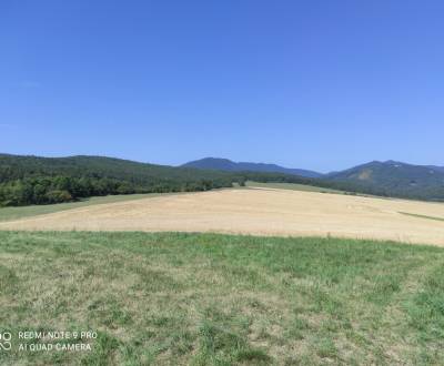 VALČA pozemok s výmerou 5800 m2,  okr. Martin 