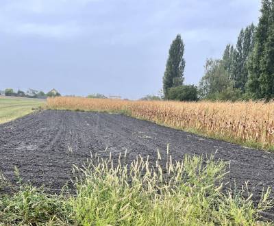 ZNÍŽENÁ CENA! Stavebný pozemok o rozlohe 557 m2 v Holiciach!