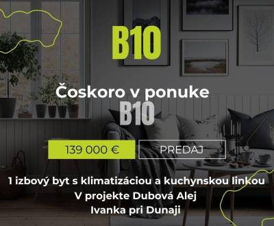 Čokoro v ponuke 1i byt s kuchynskou linkou a klimatizáciou v projekte 