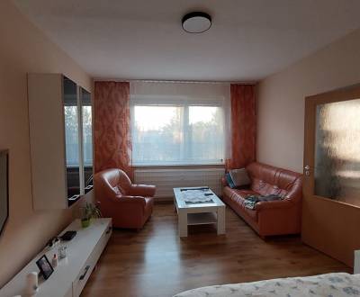 1 izbový byt na predaj, Nová Dubnica, 40m2