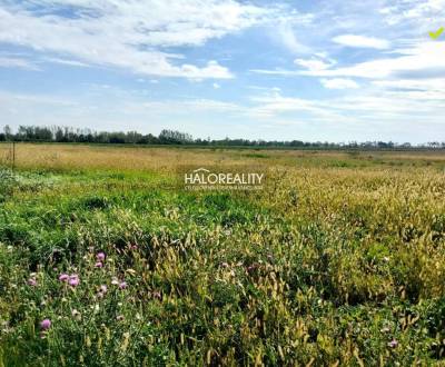 Predaj, pozemok pre rodinný dom 763 m2 Štefanovičová