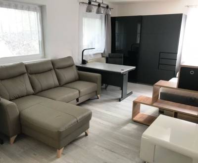 APARTMÁN 1,5 IZBOVÝ PEŠIA ZÓNA MARTIN