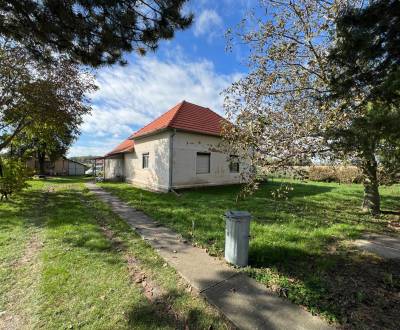 Predaj Rodinný dom s pozemkom 5503 m2, Nové Osady, Veľké Úľany.