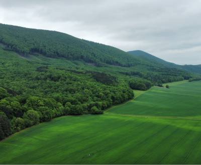 Orná pôda 3400 m2, Lošonec