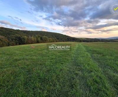 Predaj, pozemok pre rodinný dom   10798 m2 Seč, v ce...