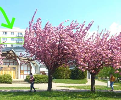 Predaj 2 izbový tehlový byt s balkónom, Cyprichova ulica, BA III. Rača