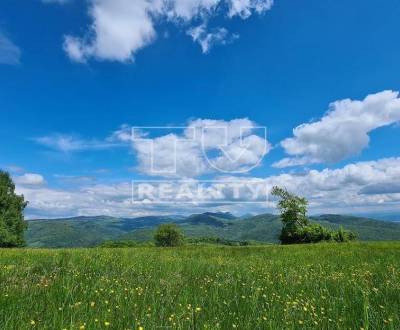 SLNEČNÝ REKREAČNÝ POZEMOK V OBCI HORNÉ SRNIE, 2400M2