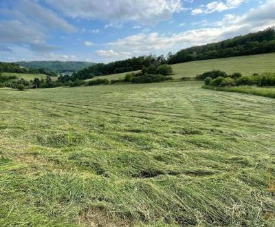 Pozemok Hnevlivá dolina, Prešov - investičný