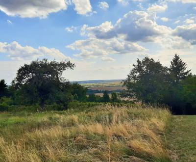 Rekreačný pozemok 1.500 m2, šírka 11 m, Jabloňovce (SM - 770)