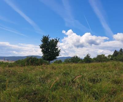 Rekreačný pozemok 2.750 m2, šírka 21 m, Jabloňovce (SM - 771)