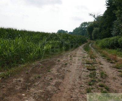 Rekreačný pozemok na predaj pri jazere v obci Vištuk, 30 km od Bratisl