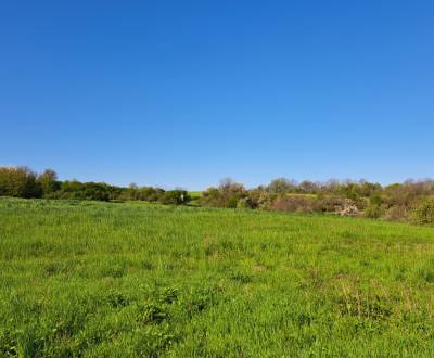 Pozemok 7.000 m2, šírka 55 m, Žemberovce, Cena DOHODOU (SM–773)