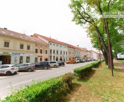 Obchodné priestory (90 m2) Zimná ul. Sp. Nová Ves