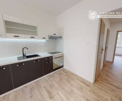 Byt 2+1 s loggiou (56 m2), sídl. Západ I. Sp. Nová Ves