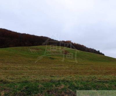 Veľký (86á) pozemok na okraji obce Papín/ Humenné