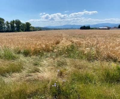 Pozemok na predaj 2.100 m2 obec Zvolenská Slatina