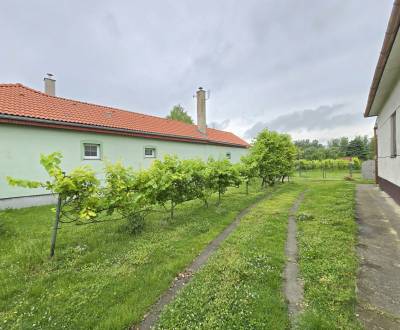 Rodinný dom s veľkým pozemkom, Dobrohošť, len 35 min od BA