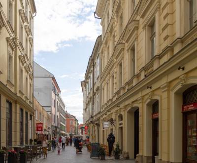 Predaj gastro priestoru, Laurinská, Laurinská, Staré Mesto