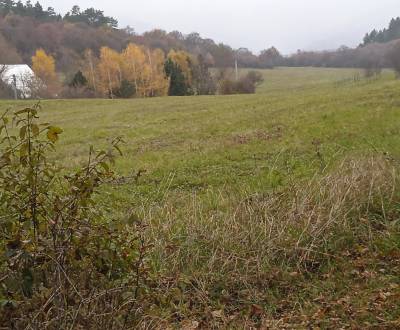 Na predaj krásny veľký pozemok v malebnej obci Lubina