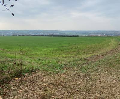 Vinica s pozemkom na výstvabu chaty - Žemberovce 