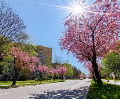 RADO I Na predaj 2i byt na najkrajšej ulici v Trenčíne I Soblahovská