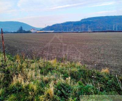 Veľký pozemok pri hlavnej ceste v katastri obce Trenčianske Bohuslavic