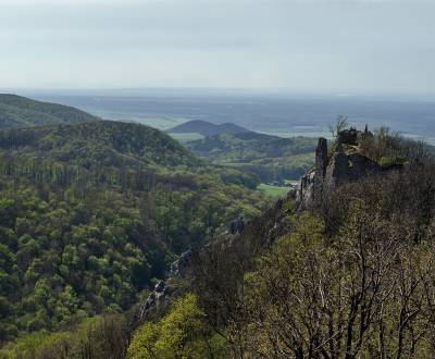 Dubnica nad Váhom, Prejta – 6.061 m2 LES (Urbár) – PREDAJ