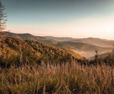 Zbora (Dohňany) - 8.714 m2 LESY a ORNÁ PÔDA - Na predaj