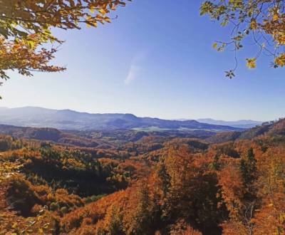 Hoštiná - 5.262 m2 Lesy a Orná pôda - NA PREDAJ