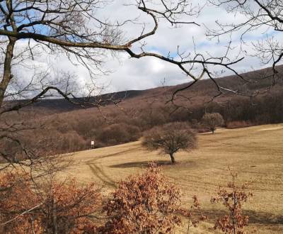 Vagrinec – 9.775 m2 ORNÁ PÔDA a LESY - Na predaj