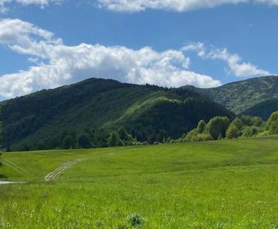 Veľký Lipník – 22.036 m2 ORNÁ PÔDA a LESY – Na Predaj