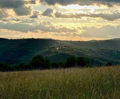 Madačka – 26.051m2 LESOV (Urbáru) – PREDAJ