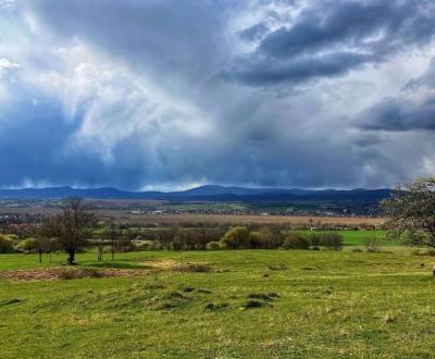 Žitavany – 880 m2 ORNÁ PÔDA a LESY – Na Predaj