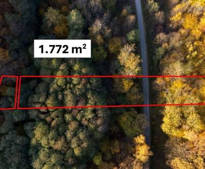 Kamenné (Košice) - 1.772 m2 LES v podiele 1/1 – NA PREDAJ