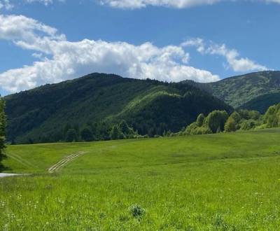 Čierny Balog – 98 m2 LES a PÔDA – PREDAJ