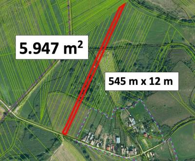 HOSTICE – 5.947 m2 PÔDA v podiele 1/1 – Na predaj