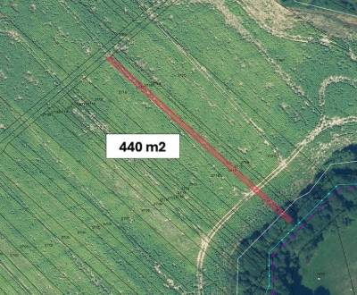 Trenčianske Jastrabie – 440 m2 ORNÁ PÔDA, podiel 1/1 – PREDAJ