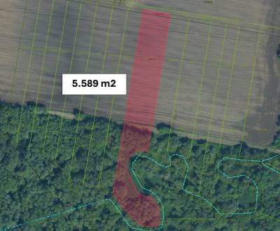 Bíňa - 5.589 m2 ORNÁ PÔDA a LES, podiel 1/1 – PREDAJ