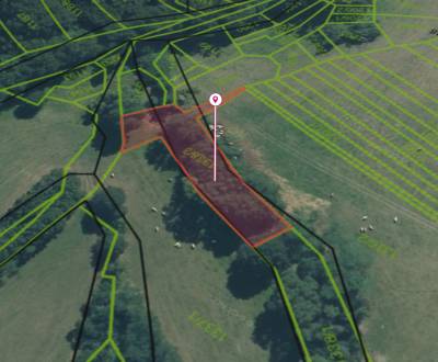 Čelovce – 1.220 m2 PÔDA v podiele 1/1 – Na predaj