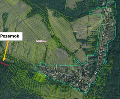 Dúbrava (Snina) - 1.600 m2 LES v podiele 1/1 – NA PREDAJ