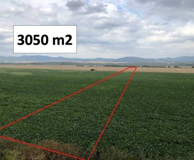 Piešťany  – 3.050 m2 ORNÁ PÔDA v podiele 1/1 – Predaj