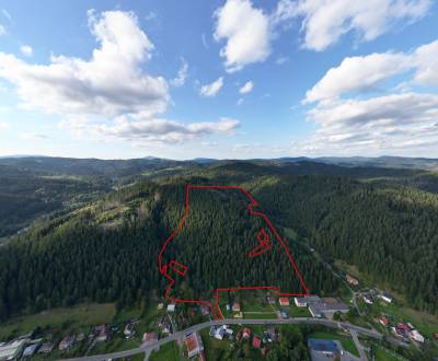 Korňa – 20.800 m2 LES s prístupom z obce - Na predaj