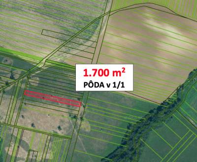 Bušince - 1.700 m2 PÔDA v 1/1 – PREDAJ