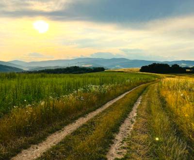 Rudňany – 1.750 m2 ORNÁ PÔDA a LES - Na predaj